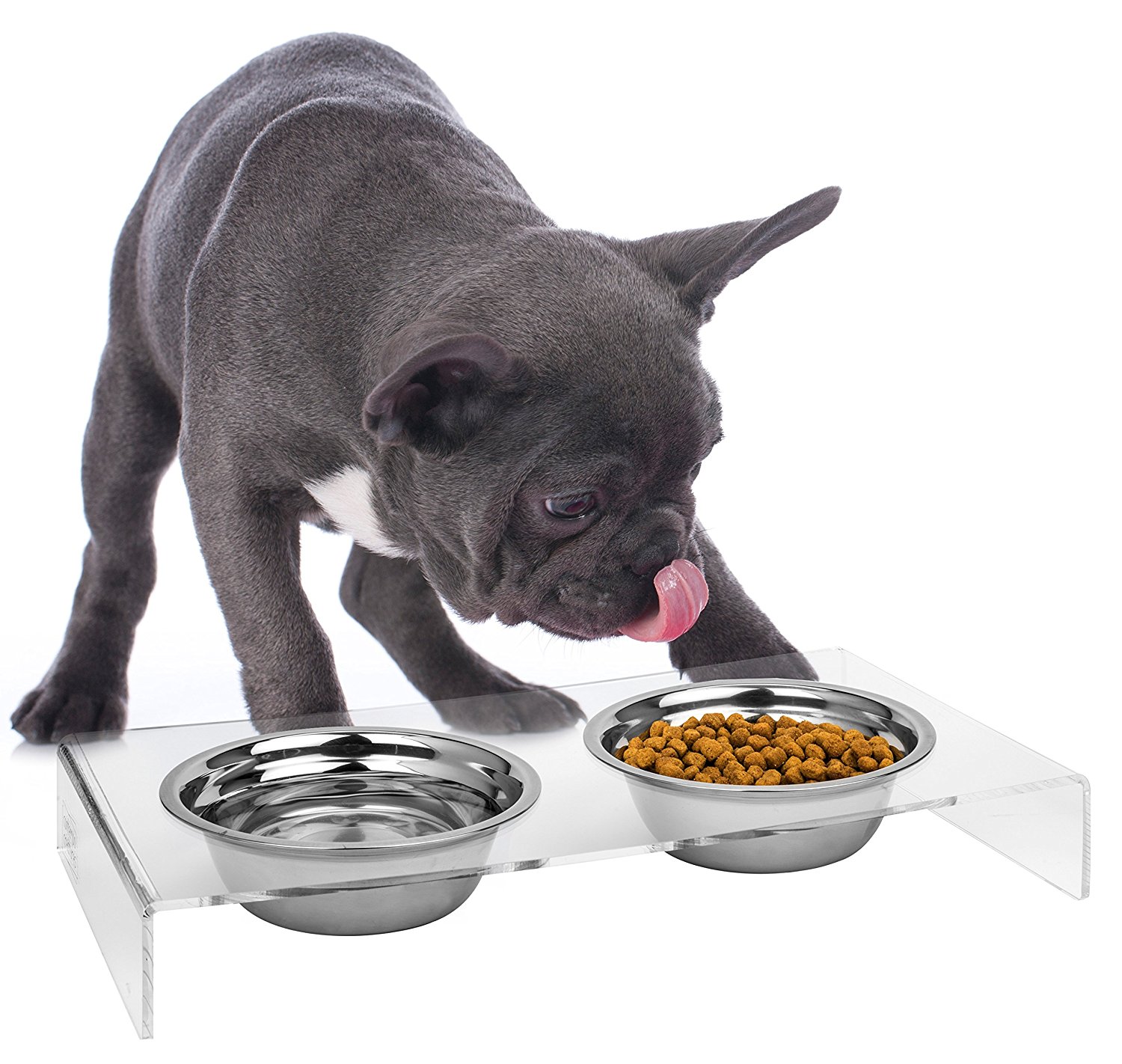 8 Modern Dog Bowl Stand Options Stylish Raised Feeders) Dans le