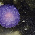 Descubren un misterioso orbe púrpura de origen desconocido en el fondo del océano