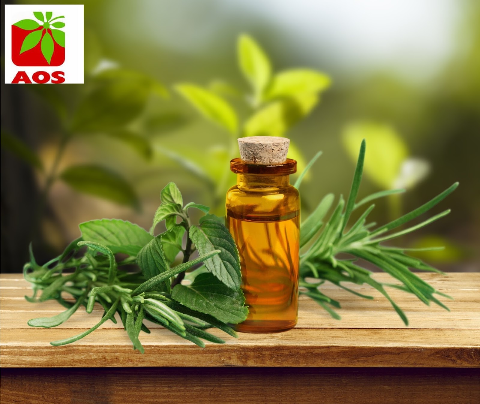 Essential Oils, Menthol and Mint Oils Manufacturer AOS Products Pure