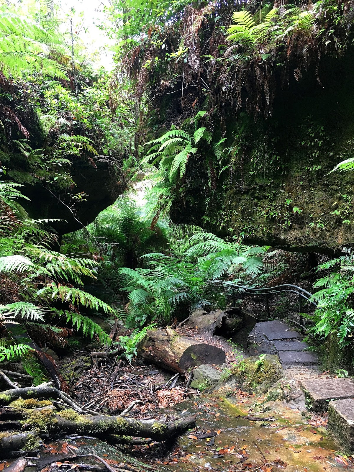Hiking solo the Grand Canyon in Australia's Blue Mountains has been one of the greatest adventures. With breathtaking views and endless stairs, come and find out more!