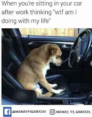 Sitting Car Meme