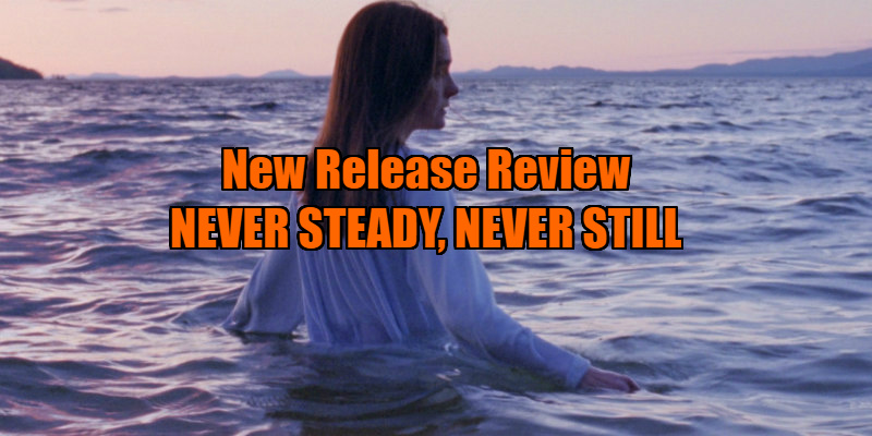 Never Steady, Never Still review