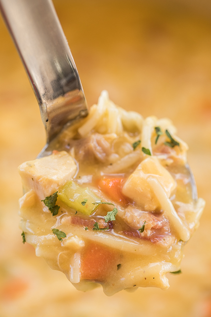 Crack Chicken Noodle Soup - this soup should come with a warning label! SO GOOD!!! Ready in 30 minutes! Chicken, cheese soup, milk, chicken broth, celery, carrots, ranch mix, bacon, cheddar cheese and egg noodles. Everyone went back for seconds - even our super picky eaters! A great kid-friendly dinner!! We love this soup! #soup #bacon #chickennoodlesoup #crackchicken Crack Chicken Noodle Soup - this soup should come with a warning label! SO GOOD!!! Ready in 30 minutes! Chicken, cheese soup, milk, chicken broth, celery, carrots, ranch mix, bacon, cheddar cheese and egg noodles. Everyone went back for seconds - even our super picky eaters! A great kid-friendly dinner!! We love this soup! #soup #bacon #chickennoodlesoup #crackchicken