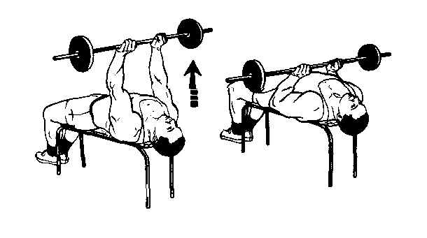Workout Routine Should You Workout Your Triceps