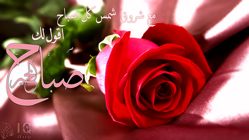 بوستات عن الصباح مكتوب عليها صور كلام صباح الخير حبيبي للواتس اب
