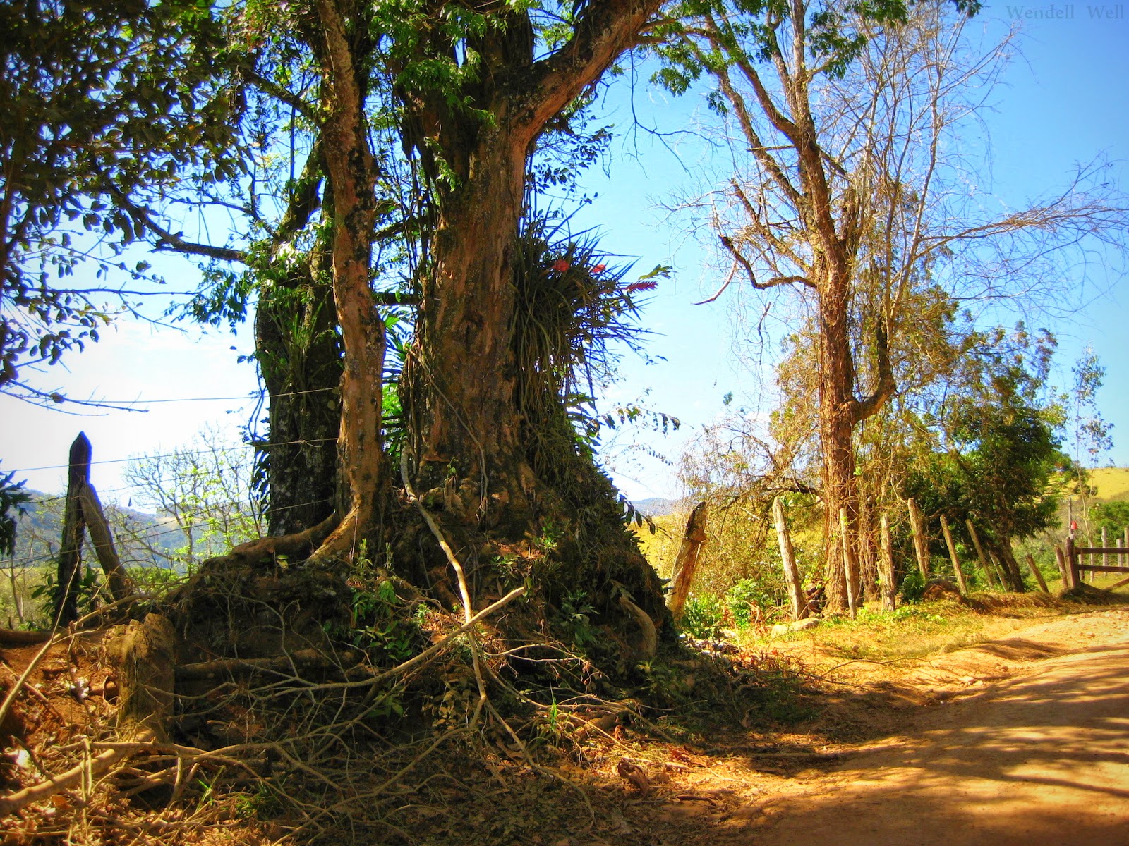 sul de minas