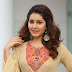 Hindi and Telugu Heroine Raashi Khana HD Hot Photos.