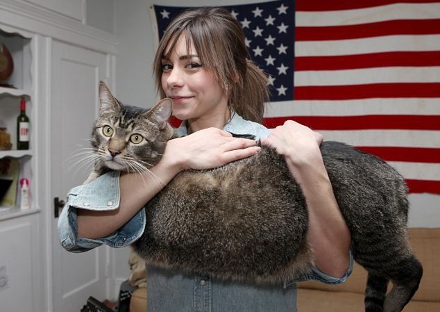 Biggest Cat In The World Guinness 2012 guinness book Biggest Cat In The World Guinness 2012 guinness book