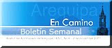 Boletin Semanal - Arzobispado de Arequipa