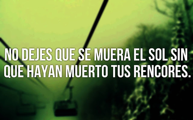 frases de vida frases de vida
