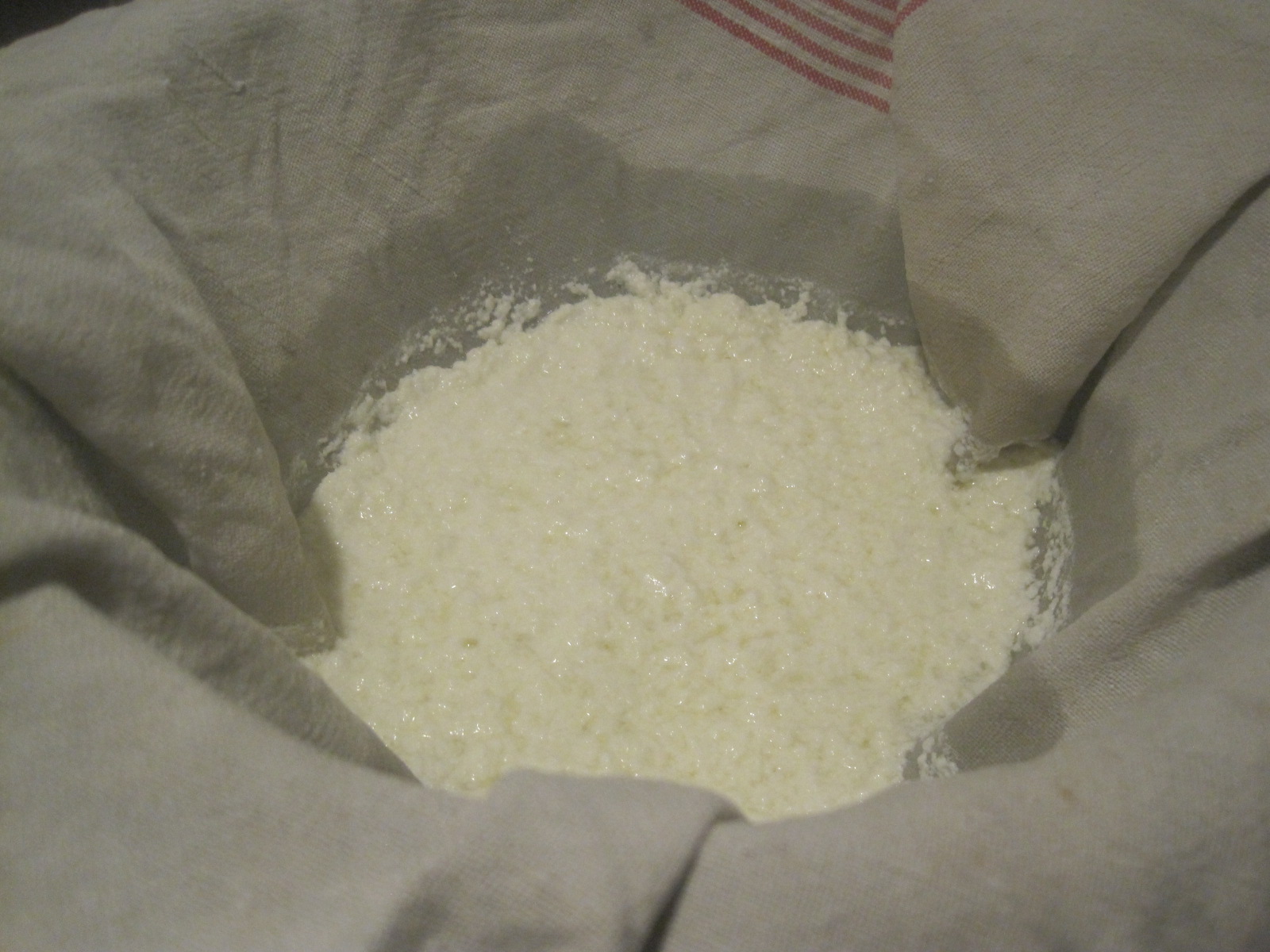 Mozzarella selbst gemacht – glatzkoch.de