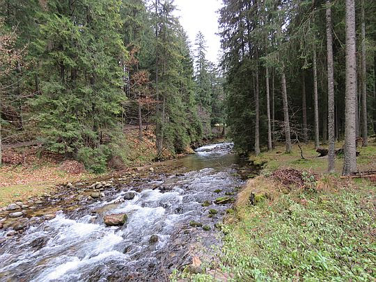 Kościeliski Potok. Kościeliski Potok.