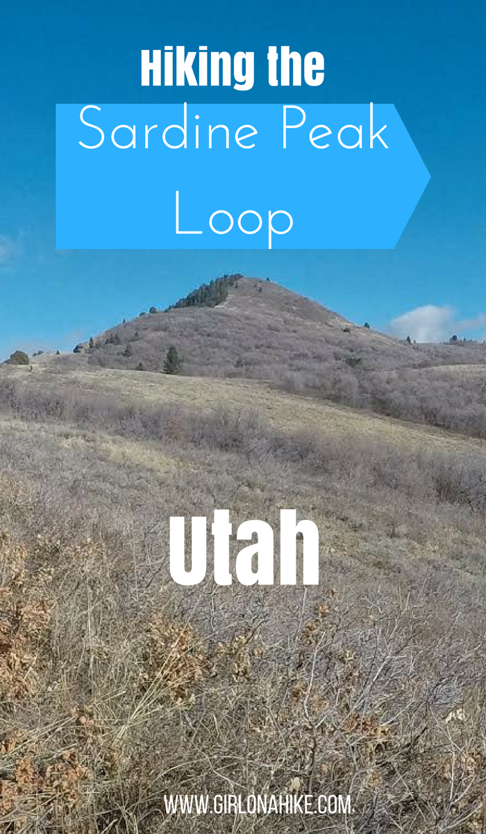 Hiking the Sardine Peak Loop, Snowbasin Girl on a Hike
