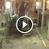 A Farmer Set His Camera To Record And Captured THIS — Now 6 Million People Absolutely Love Him
