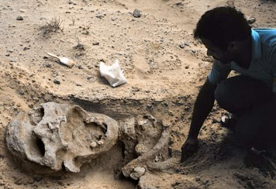 Giant Skeleton found in Adams County, Ohio