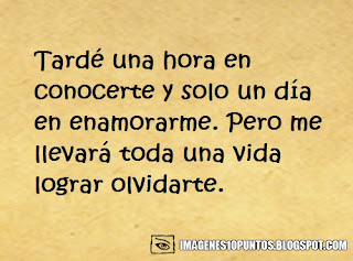 frases de amor frases de amor