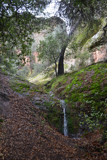 tiny tributary waterfall