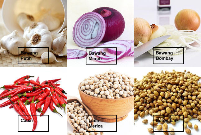 Macam Macam Bumbu Dapur Dan Fungsinya Belajar