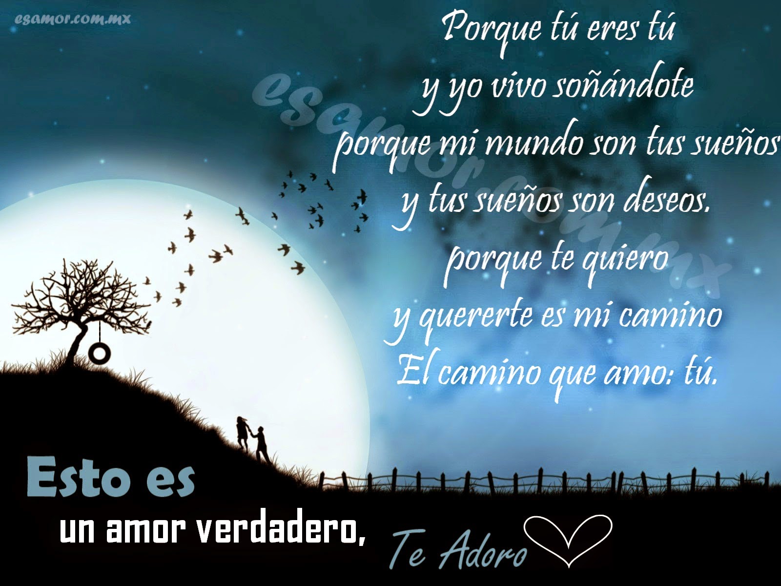 Imágenes con versos de amor para dedicar a tu pareja Imágenes con