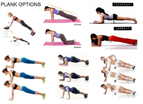 Plank Exercises. Traditional, Modified & Side Plank Poses