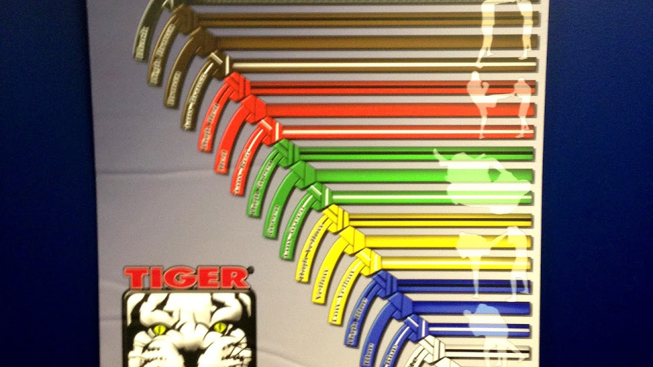 Karate Belts In Order Of Rank Karate Choices