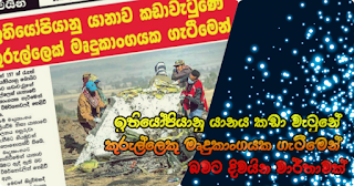 Report says that Ethiopian flight crash ... due to collision of bird with software Report says that Ethiopian flight crash ... due to collision of bird with software