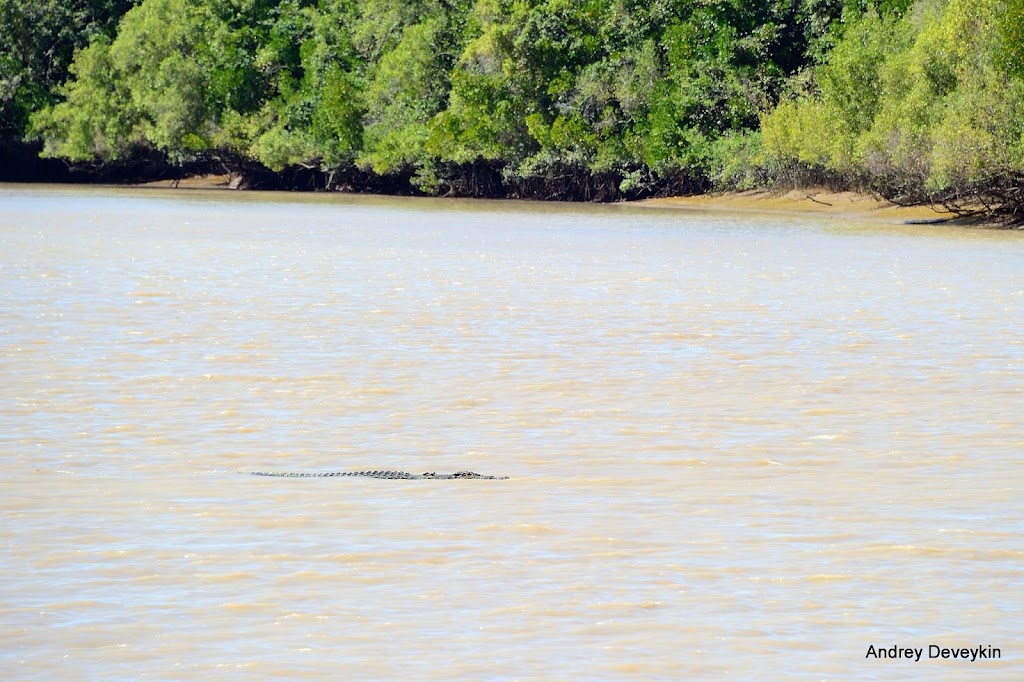 Adelaide River Cruises