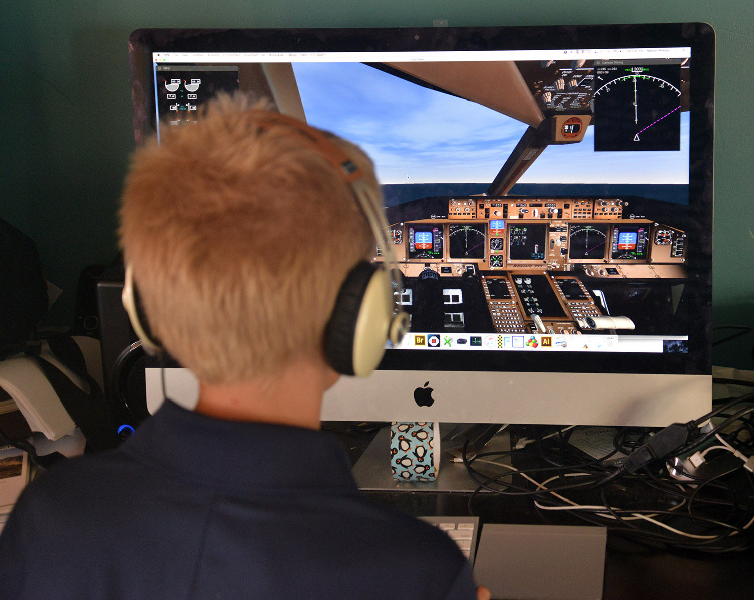 A school of fish Flight simulator