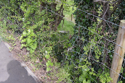Criminal activity as thieves cut through fence in Turnditch Orchard