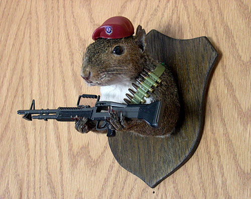 taxidermy-squirrel.jpg