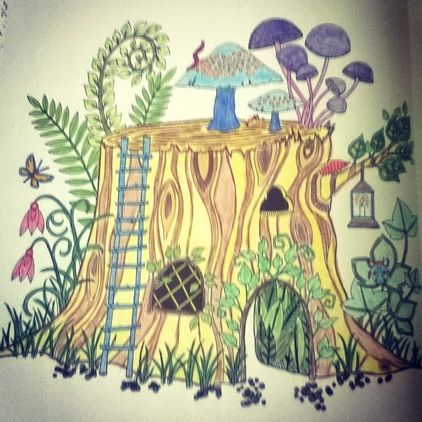 Sol de Echesortu Reseña El bosque encantado (Johanna Basford)