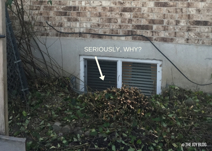 Who Plants Bushes in Front of A Window? THE JOY BLOG