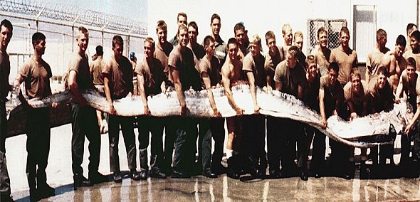 giant-oarfish-ملك-الرنجة