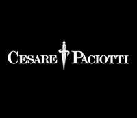 CREATIVE TALENTS OF MY REGION : CESARE PACIOTTI