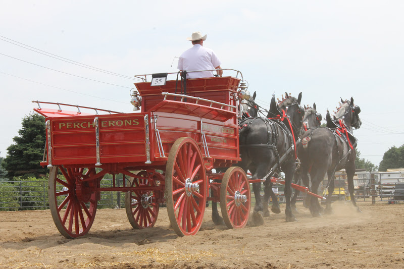 Cornerstone Retreat Murray County Classic Draft Horse Show Slayton MN