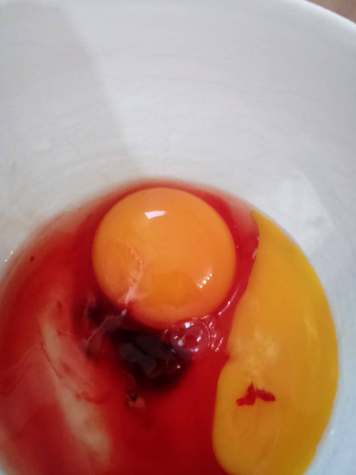 The Poultry Pages (Scorcher Eggs) Blood On The Shell Or Inside The Egg