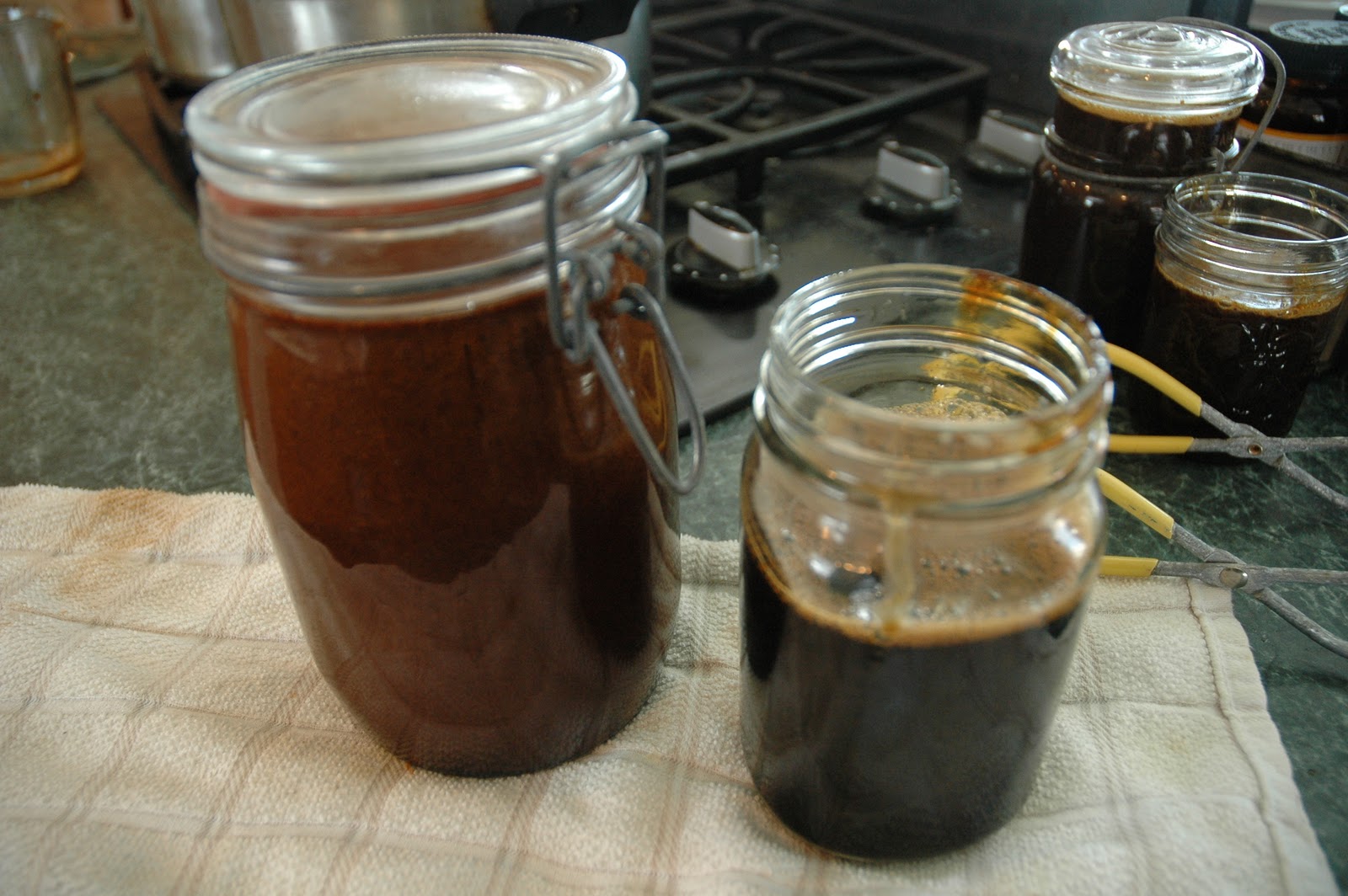 Lawnless Trials Goes Homesteading Sugar Beets to Molasses Continued