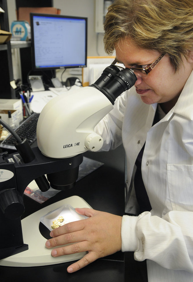 OIDV Project Of Michigan Officer Involved Domestic Violence Project