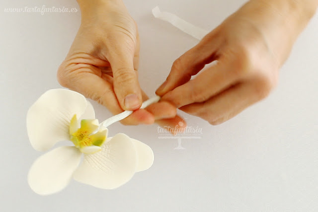 Tutorial Orquídea Mariposa de azúcar