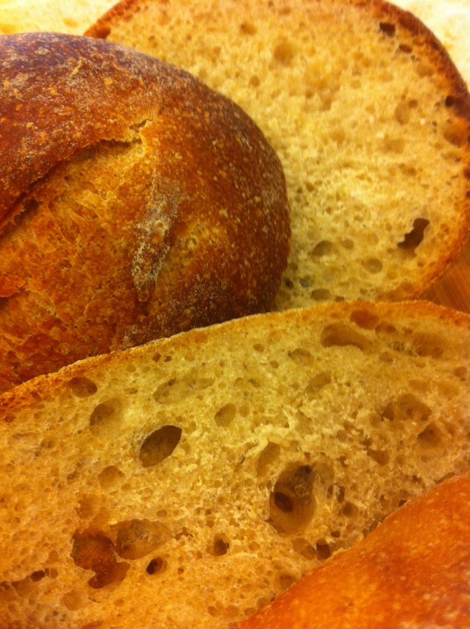 Tommy Le Baker: Impact of lactic acid bacteria (LAB) in sourdough