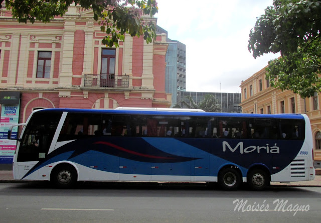Moisés Magno