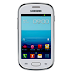 Samsung Galaxy FAME GT-S6818