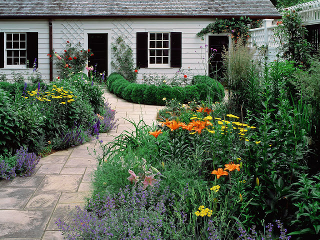 Plantas para un jardín campestre o "cottage" - Guia de jardin