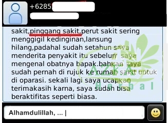Obat Tradisional Sakit Pinggang Sebelah Kiri Paling Ampuh Obat Tradisional Sakit Pinggang Sebelah Kiri