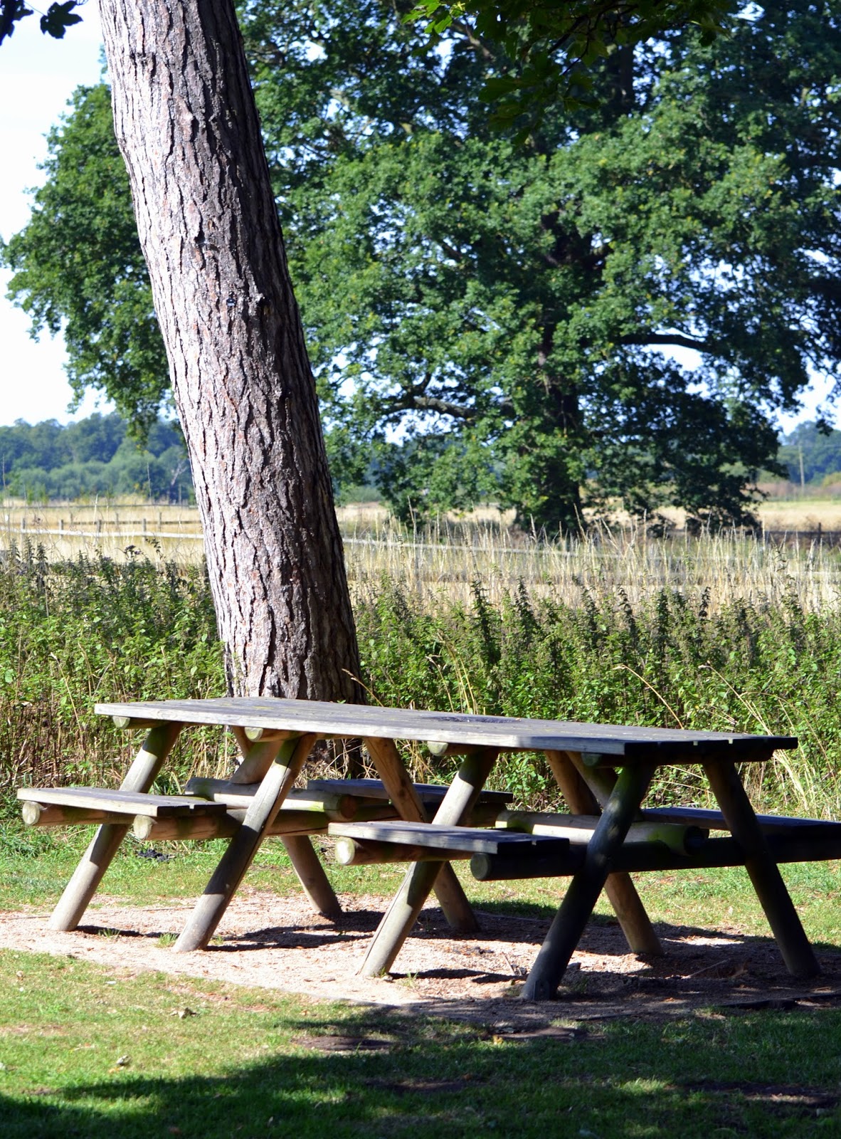 Coombe Abbey Park >> Today Around Coventry Bbq Gone Wrong Coombe Abbey Park >> Today Around Coventry Bbq Gone Wrong