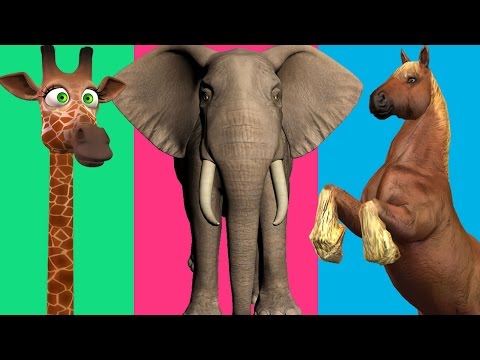 Elephant Giraffe Horse Finger Family Cartoon Nursery Rhymes for ...