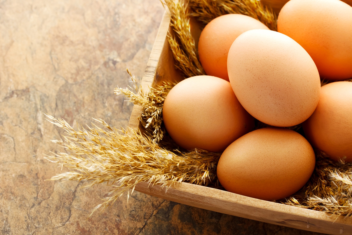 Manfaat Telur Ayam Bagi Kesehatan Manfaat Telur Ayam Bagi Kesehatan