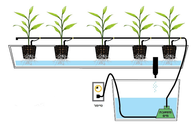 Drip System Drip System