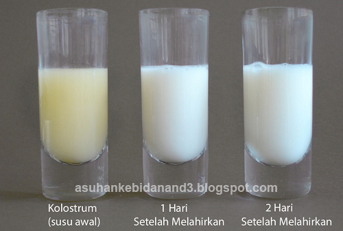 Kolostrum Kolostrum