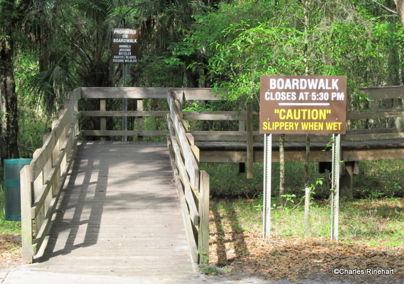 Lettuce Lake Park In Tampa Florida Lettuce Lake Park In Tampa Is A